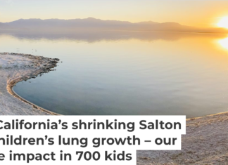 The Salton Sea is shrinking and releasing toxic dust from its lake bed. Jennifer Davis/iStock/Getty Images Plus